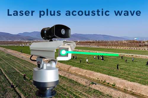 What are the common classifications of laser bird repellents
