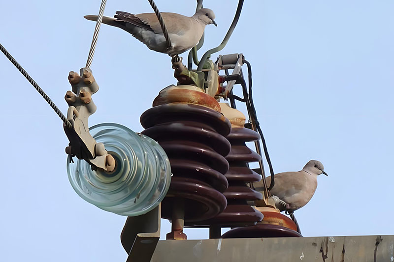 Revolutionizing Bird Control in Substations with Laser Tech